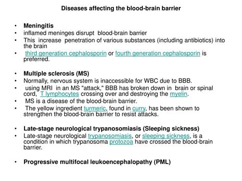 PPT - Blood brain barrier PowerPoint Presentation, free download - ID ...