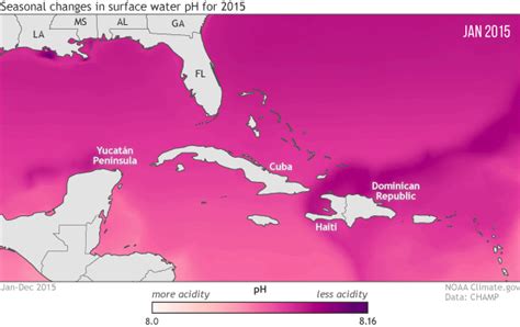 To protect marine life, NOAA monitoring seasonal and yearly changes in surface water pH in ...