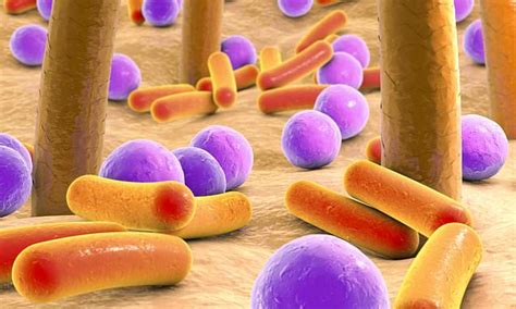 Bacteria that live on EVERYONE'S skin are becoming resistant to ...