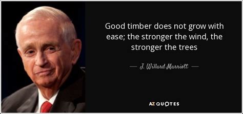 J. Willard Marriott quote: Good timber does not grow with ease; the ...