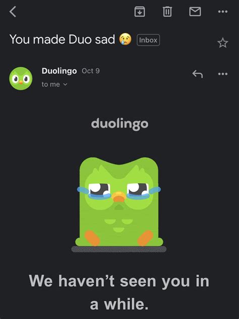 I made Duolingo sad, this is goodbye : r/memes