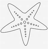 Starfish Coloring Beach Pages Shells Printable Drawing Color Clipart  sketch template