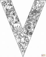 Letter V With Animals coloring Page  Free Printable Coloring Pages sketch template