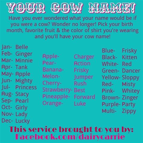 Cow names! | Cow names, Show cows, How to show love