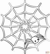 Spider Web coloring Page  Free Printable Coloring Pages sketch template