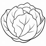 Brussels sprouts Vegetable Outline coloring Book Page Line art drawing  sketch template