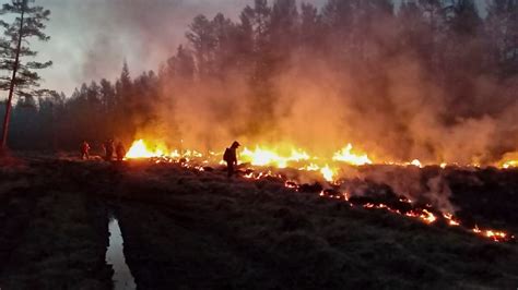 Russia's Forest Fire Damage Worst Since Accurate Recording Began, Greenpeace Says