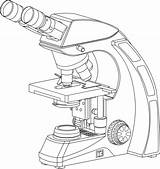 4 Best Microscope Drawing And Coloring Pages  sketch template