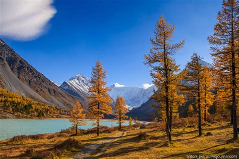 Golden Autumn in the Altai Mountains · Russia Travel Blog