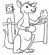 Boxing Kangaroo coloring Page  Download Print Or Color Online For Free sketch template