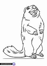 Free groundhog coloring Page  Printable Pages sketch template