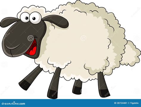 Funny Cartoon Sheep Pictures ~ Funny Sheep Cartoon Royalty Free Vector ...