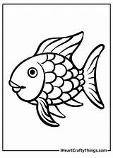 Coloring Pages Of Fishes sketch template