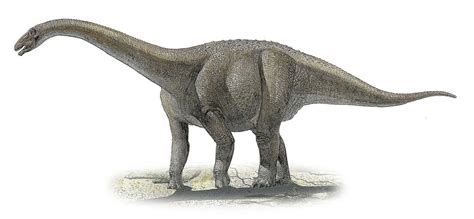 Pictures and Profiles of Titanosaur Dinosaurs