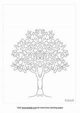 Lime Coloring Page sketch template