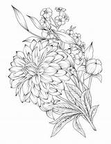 Botanical Coloring Pages sketch template