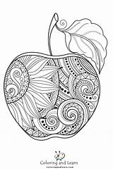 Apple Coloring Pages For Adults FREE 2025  And Learn sketch template