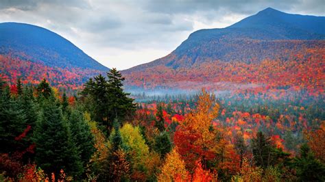 White Mountain National Forest, New Hampshire Herbst | Autumn foliage fall in White M… | White ...