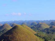 The Mighty Carabao, The Philippines | The Daily Roar