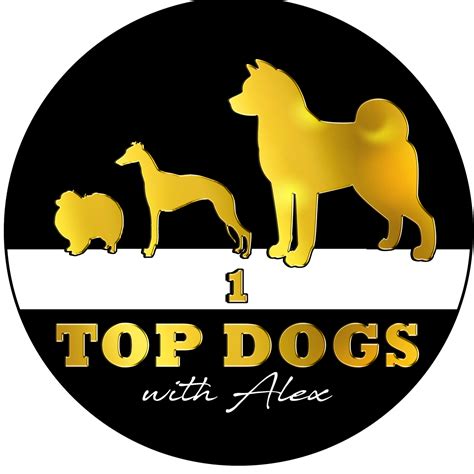 Top Dogs With Alex