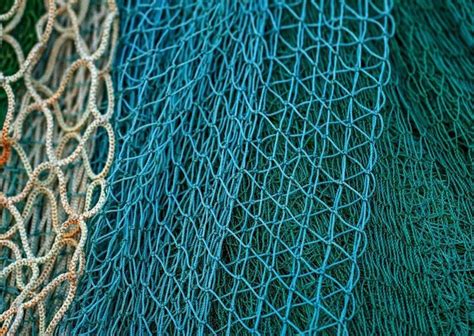 What Are The Types Of Fishing Nets? - News - QinHo Group(HK) Co.,Ltd