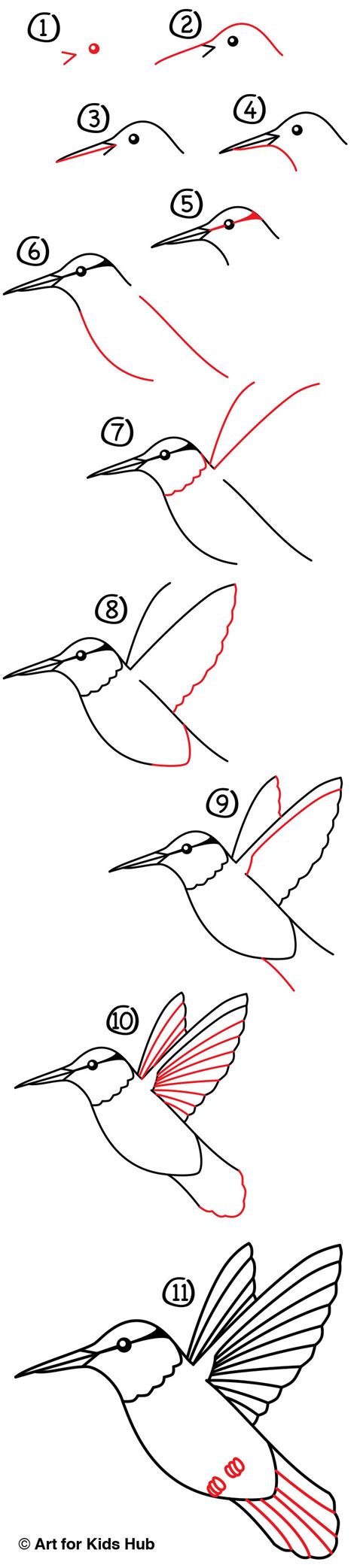 Hummingbird Drawing How To Draw A Hummingbird Step By Step | My XXX Hot Girl