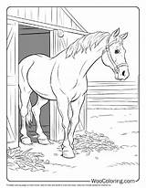100  Farm Animal coloring pages Free PDF To Print Woo Coloring sketch template