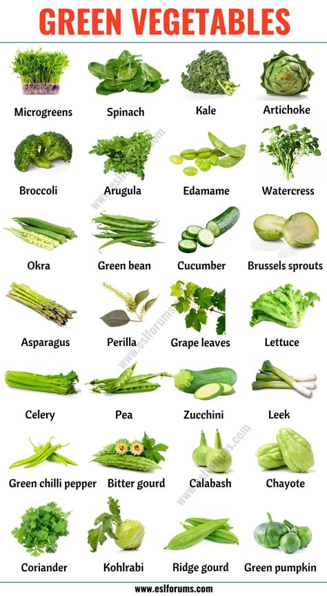 Green Vegetables: List of 28 Green Vegetables in English with ESL Picture! - ESL Forums