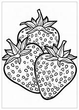 Strawberry Coloring Pages  Fun And Creative For All Ages – MrColoringCom sketch template