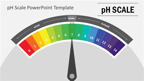 pH Scale PowerPoint Template - SlideModel