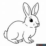 Rabbit Coloring Page  Easy Drawing Guides sketch template