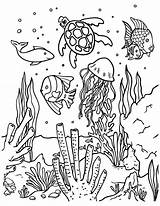 Sea Creatures Coloring Pages sketch template