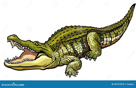 Crocodile du Nil illustration de vecteur. Illustration du carnassier ...