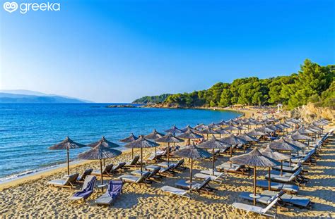 Best 39 Beaches in Skiathos, Greece | Greeka