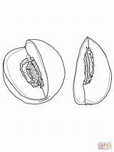 Cut Honeydew coloring Page  Free Printable Coloring Pages sketch template