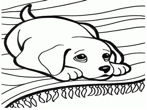 Introducing Thrilling Cartoon Dog Coloring Pages Chasing Struggle with Your Comic Spirit - chagoikoi