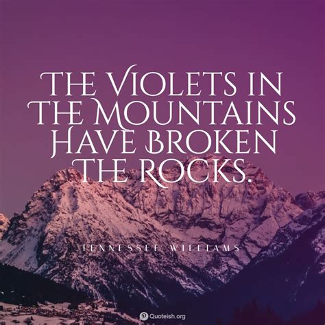 11 Violet Quotes - QUOTEISH