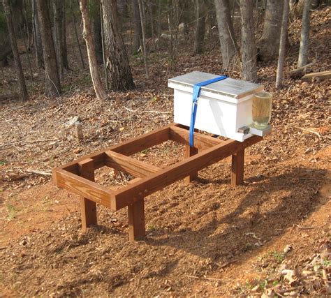 Beaver Creek Bees: Expanding the Bee Yard