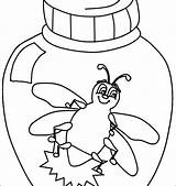 Pill Bug Coloring Page Pages sketch template