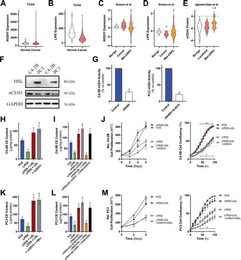 LDL supplementation rescues C4-2B and PC3 cell growth in... | Download Scientific Diagram