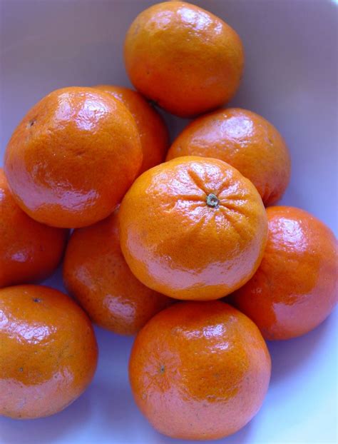 Province of Food Styling: USA: tangerines