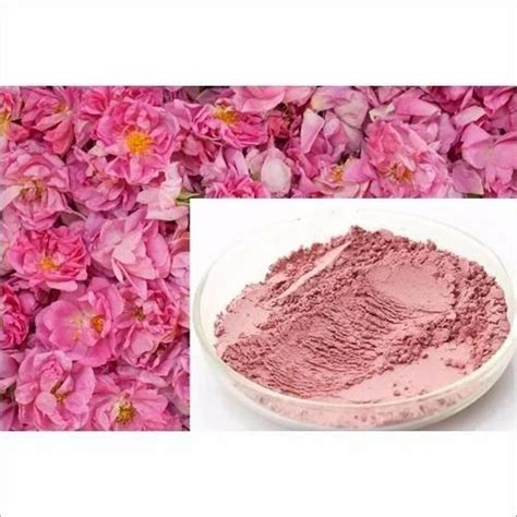 Rose Petal Powder, Packaging Type: PP bag at Rs 320/kg in Indore | ID: 2850839100991