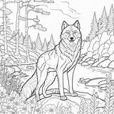 Majestic Wolf Coloring Pages  Etsy sketch template