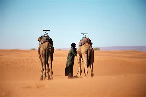 Great Desert Tours: Atlas, Sahara, Private Morocco Trips