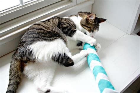 Cat Kicker Toy DIY - Make Your Own Cat Kick Stick