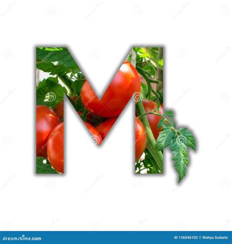 Letter M Made of Fresh Fruit. M Lettering Stock Photo - Image of alphabet, collection: 136046102