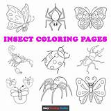 Preschool Insect Coloring Sheets Pages sketch template