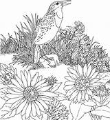 Free Printable Sunflower Coloring Pages For Kids sketch template