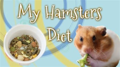 My Hamsters Diet! - YouTube