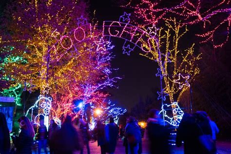 Holiday concerts, tree lightings, holiday markets and events - The ...